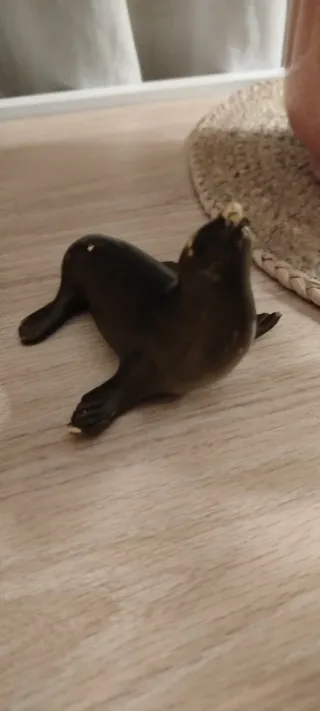 Figura Foca Goma Dura