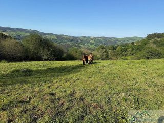 Chalet en venta en Entrambasaguas