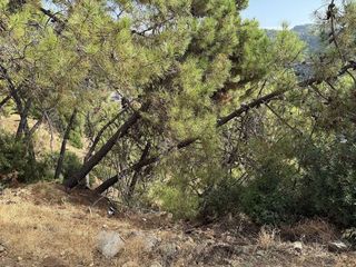 Solar en venta en Benahavís