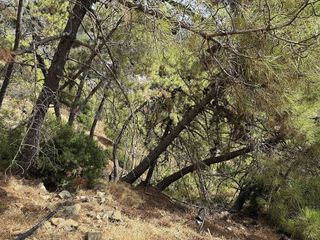 Solar en venta en Benahavís