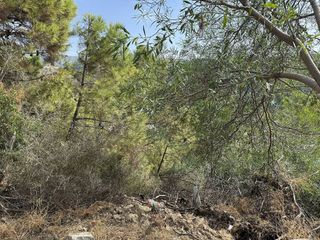 Solar en venta en Benahavís