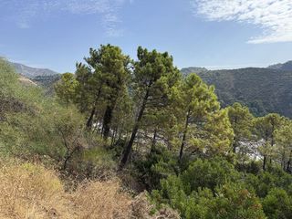 Solar en venta en Benahavís