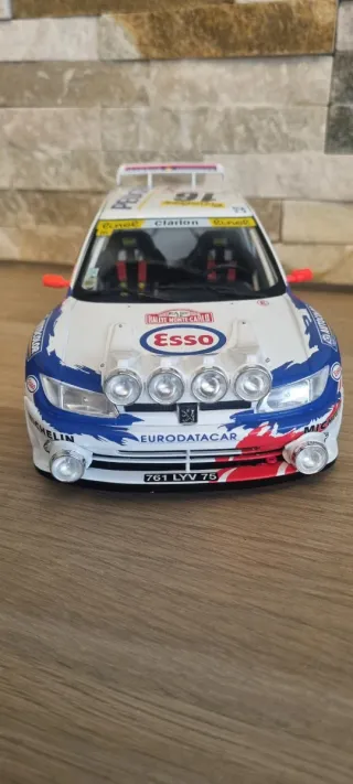 Peugeot 306 Maxi de Gilles Panizzi