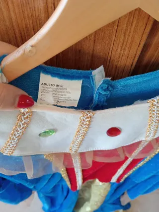 Disfraz Princesa Azul y Rojo