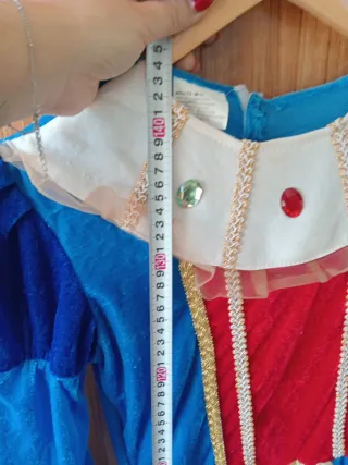 Disfraz Princesa Azul y Rojo