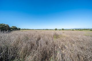 Solar en venta en Manacor Centro en Manacor
