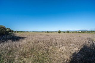 Solar en venta en Manacor Centro en Manacor