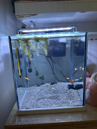 Lámpara LED Acuario 30cm ajustable