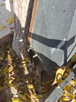 Chimenea de forja negra y dorada