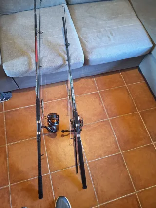 2 cañas de pesca para siluro