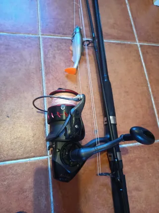 2 cañas de pesca para siluro