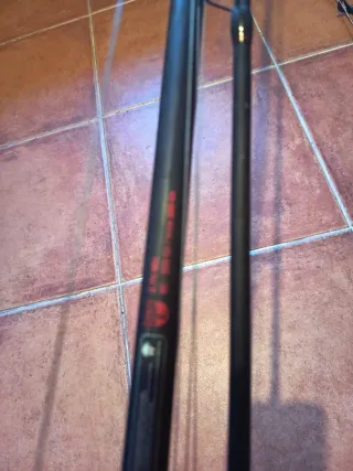 2 cañas de pesca para siluro