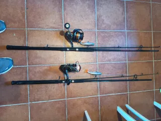 2 cañas de pesca para siluro