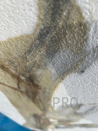 Placa decorativa Embossed Chocolate Textura