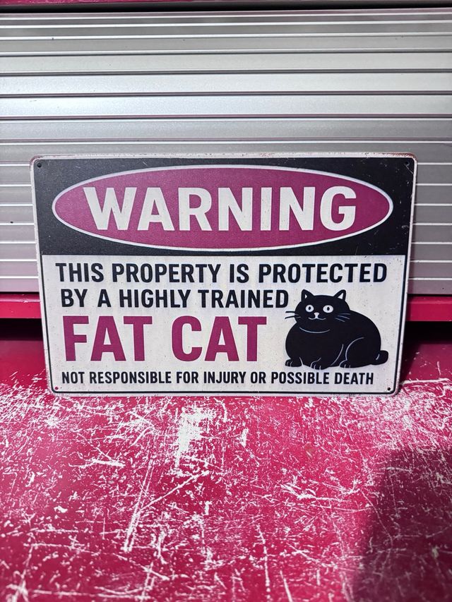 Cartel Metálico Warning Fat Cat Humor