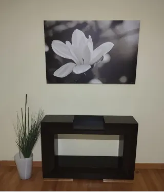 Mueble de entrada madera wengue