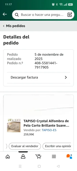 Alfombra NUEVA sin estrenar pelo corto 300x400cm