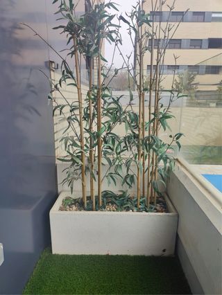 Macetero/Jardinera Blanco Piedra