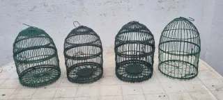 4 gabbie per pernici