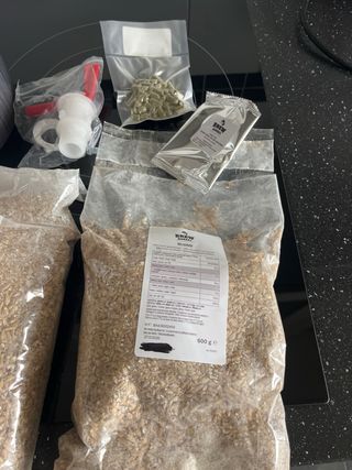 Kit Cerveza Artesanal Brew Monkey