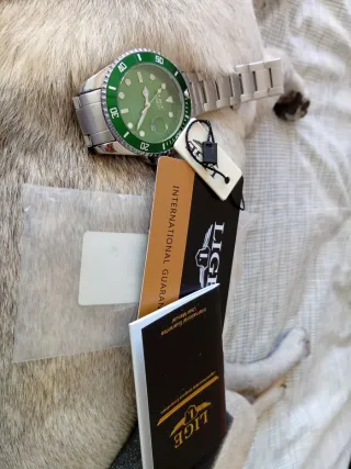 Reloj LIGE Verde y Plateado