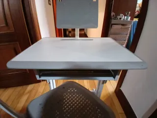 Escritorio Elevable Infantil Gris y Blanco