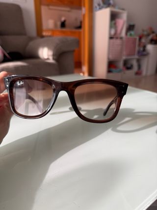 Gafas de sol Ray-Ban Wayfarer Reverse Unisex