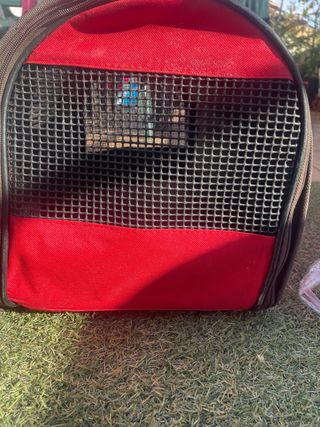 Transportín perro pequeño