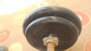 Barra Z con discos 10kg y 5kg