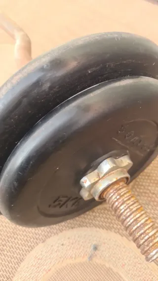 Barra Z con discos 10kg y 5kg