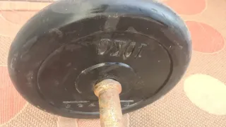 Barra Z con discos 10kg y 5kg