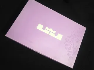 Zapatillas Nike Lebron Witness VIII Gris/Blanco