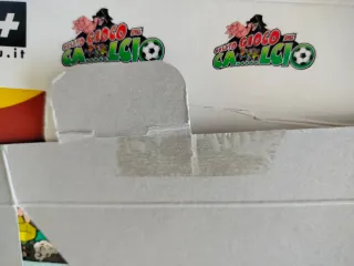 Questo Gioco del Ca....lcio