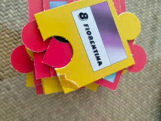 Questo Gioco del Ca....lcio