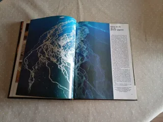 Maravillas de la naturaleza