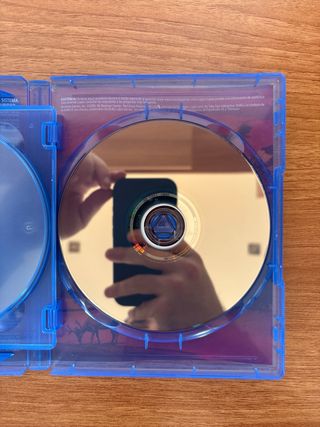 Red Dead Redemption II PS4