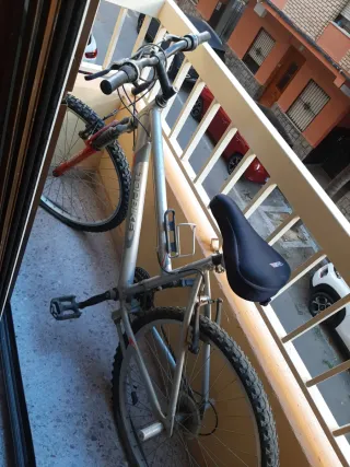 Bicicleta de montaña Topbike