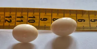 Orecchini vintage beige.