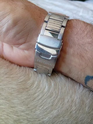 Reloj Festina Chronograph Dorado y Plateado