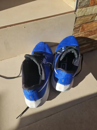 Nike Pegasus Talla 45 Azul
