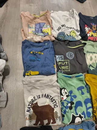 Lote 15 camisetas manga larga 8A