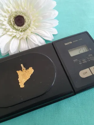 Colgante Cataluña Oro 18kl