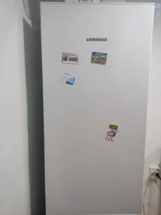 Nevera Liebherr Blanca