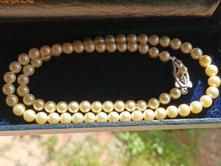 Collar Perlas Akoya 5.5-5.9mm 17