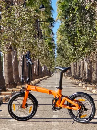 Tezeus Swift Carbono.