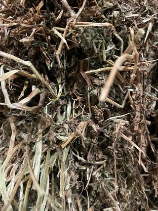 Forraje de vezas puras en flor