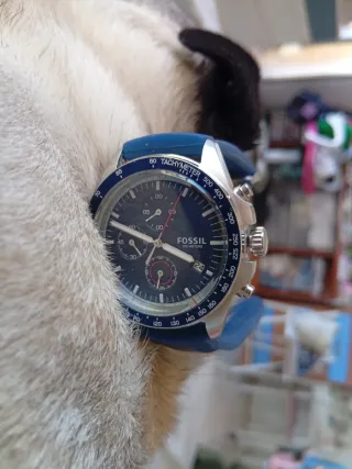 Reloj Fossil Azul y Plateado