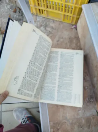 Webster's New Encyclopedic Dictionary