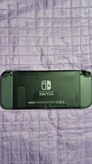 Nintendo Switch Seriale Basso