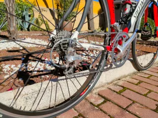 Bicicleta de carretera Specialized Allez Comp